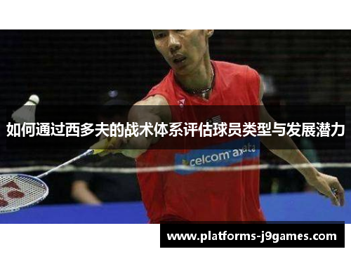 如何通过西多夫的战术体系评估球员类型与发展潜力