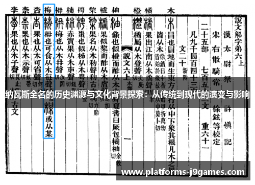 纳瓦斯全名的历史渊源与文化背景探索：从传统到现代的演变与影响