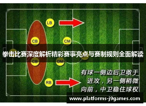 拳击比赛深度解析精彩赛事亮点与赛制规则全面解读