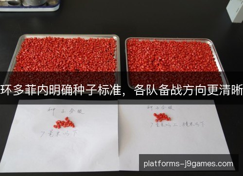 环多菲内明确种子标准,各队备战方向更清晰 环多菲内明确种子标准,各队备战方向更清晰
